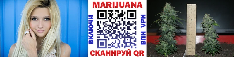 МЕФ Балабаново