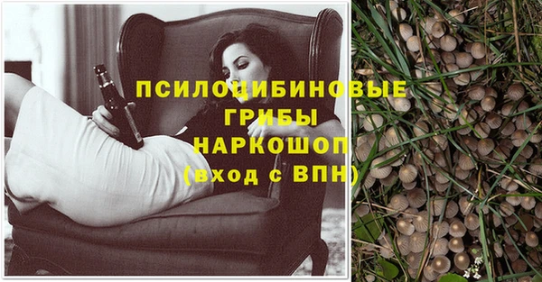 герыч Арсеньев