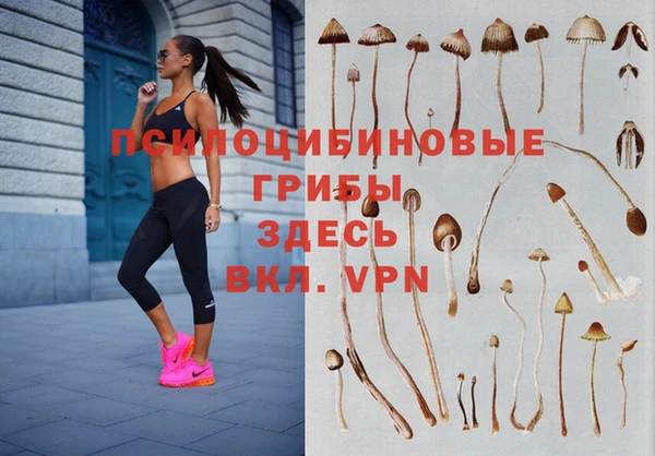 гашик Армянск