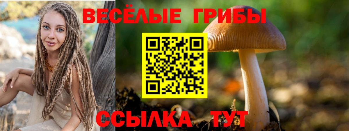 Галлюциногенные грибы Psilocybine cubensis Балабаново