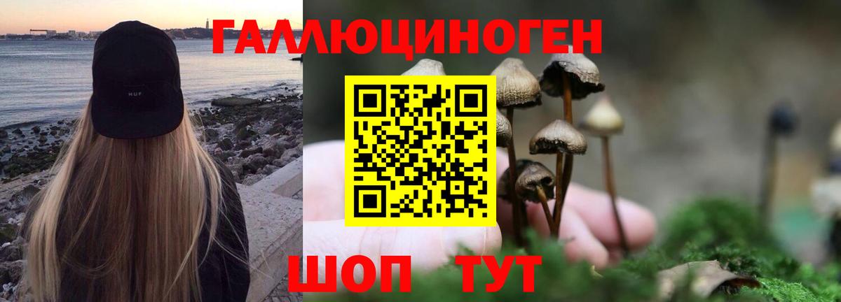 Балабаново  Галлюциногенные грибы Psilocybe  Вход с VPN 